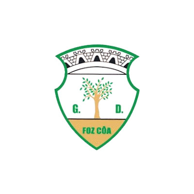 Veteranos G. D. Foz Côa