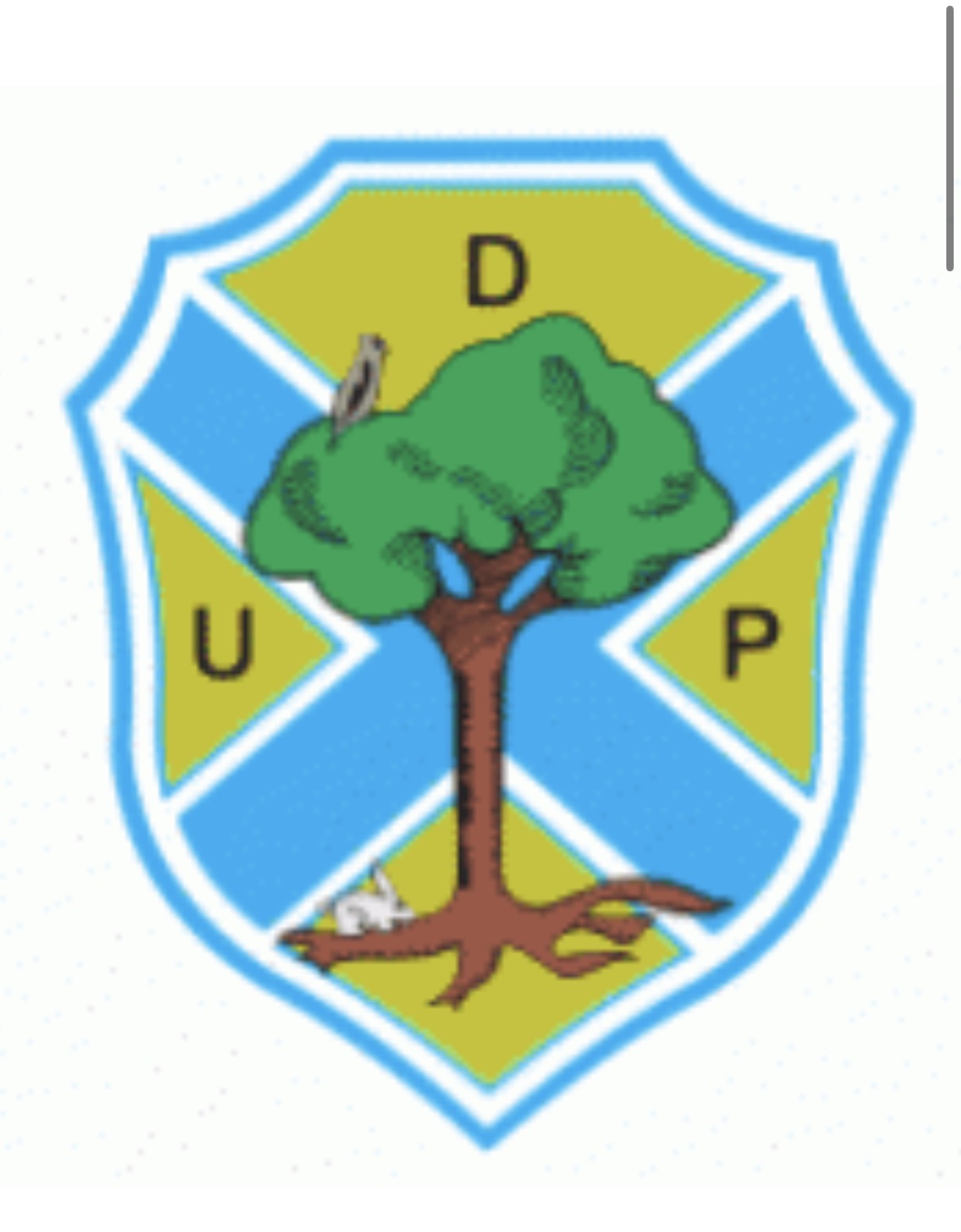 União desportiva os Pinhelenses
