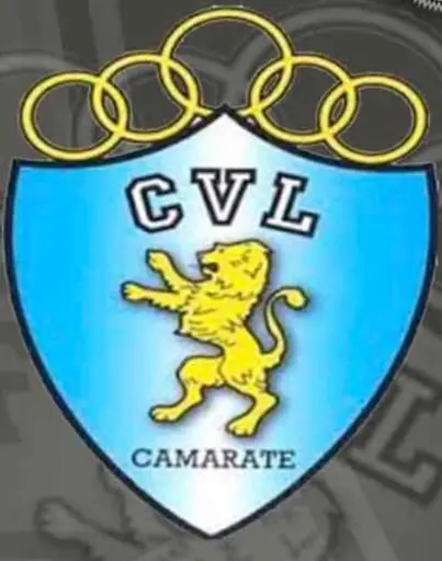 Associação Clube de Veteranos Leões de Camarate