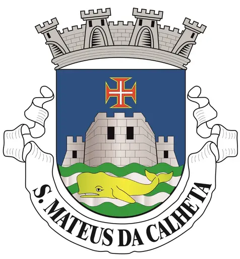 ASSOCIAÇÃO VETERANOS DA VILA DE SÃO MATEUS DA CALHETA